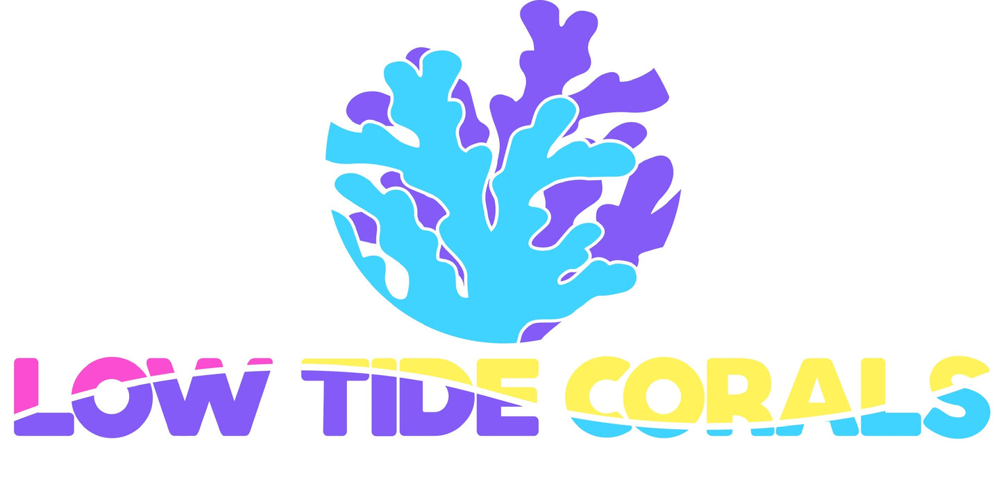 Low Tide Corals Gift Cards