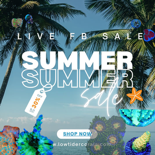 LTC Summer Sale Contact Module